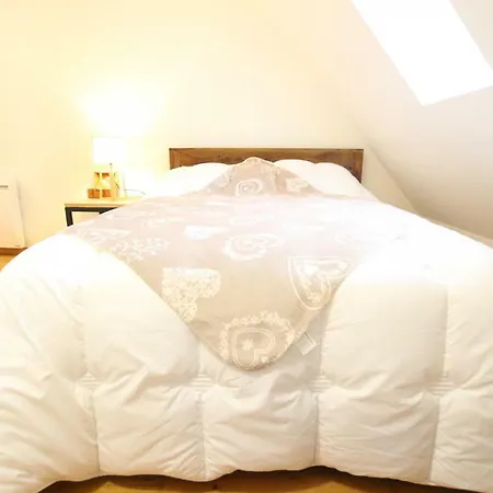 Апартаменты Historic Center - Cosy Petit Cathedrale 2 - Bookingalsace *