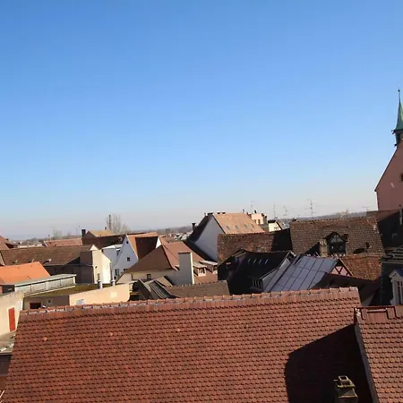 Апартаменты Historic Center - Cosy Petit Cathedrale 2 - Bookingalsace Кольмар